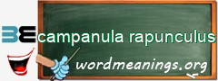 WordMeaning blackboard for campanula rapunculus